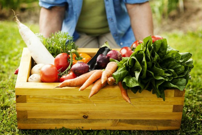 alimentos organicos