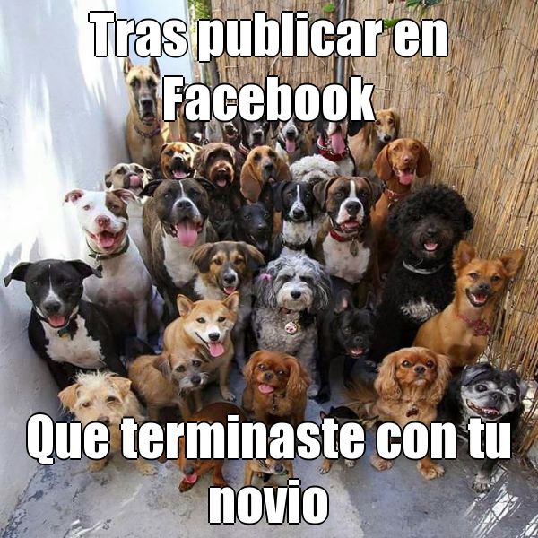 Imagenes divertidas WhatsApp