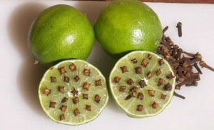 Moscas-remedios-naturales